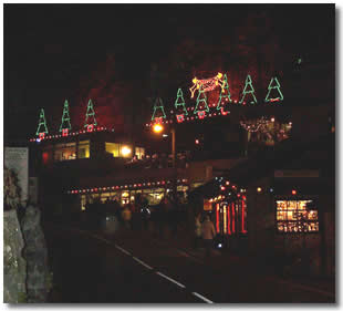 Cheddar Festive Night