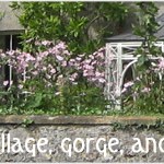 Norville Lane, Cheddar