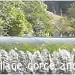 Waterfall behind Cox's Mill in the gorge