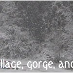 Winter whiteout in the Gorge